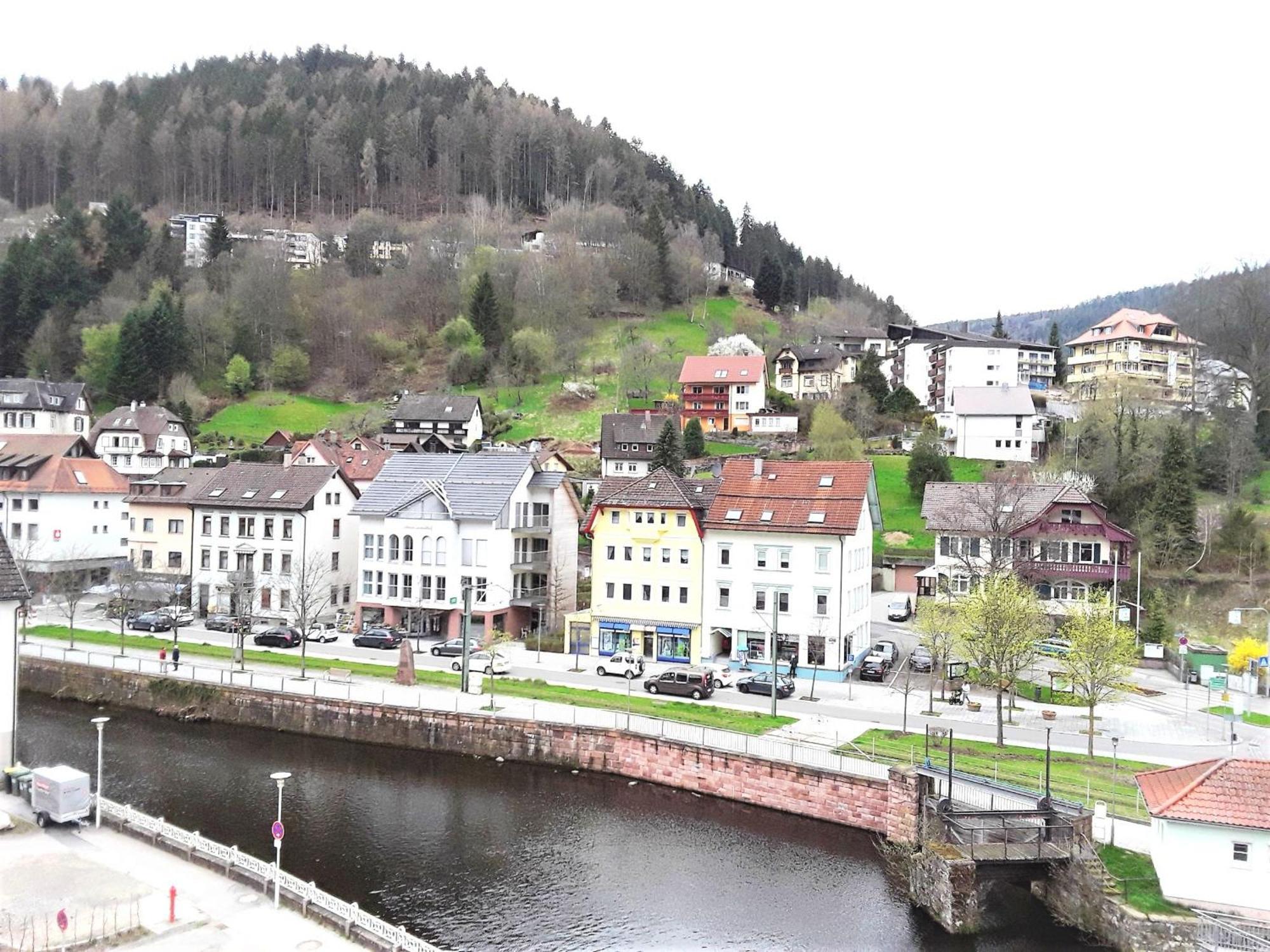 Ferienwohnung Enzblick 巴特维尔德巴德 外观 照片
